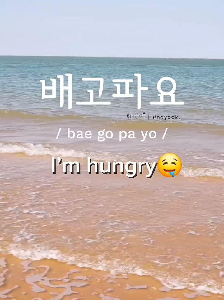 I am hungry say in Korean #creatorsearchinsights #nepaltokorea🇳🇵❤️🇰🇷🙏korea🇳🇵❤️🇰🇷 #dreamkorea🇰🇷🇰🇷🇳🇵 #viral #higlights #india #nepal #japan #uk #pourtoi #portugal🇵🇹 #england🇬🇧 #dubai #pokhara #neoalitiktok #tiktok #500k_challenge #500kflowers #500klike😍70k @TikTok @For You @India @00:00 