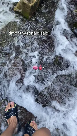 king timonthy👑 #fyppppppppppppppppppppppp #foryoupage #timonthyronald #bitcoin #crypto 
