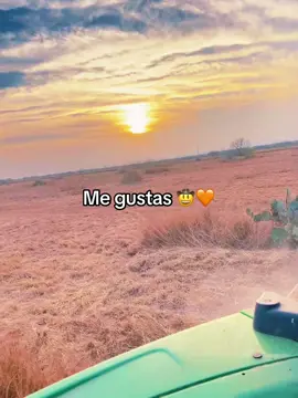 Me gustas 🤠♥️#rancho #joansebastian #fyp #parati #🫀#rancheros #💖 #amor 