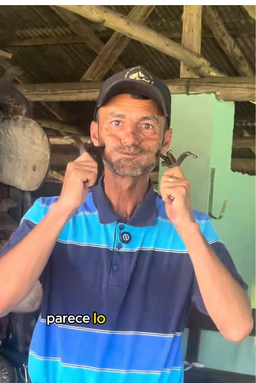 Espuelas#tiktok #foryou #knowledge #usa 