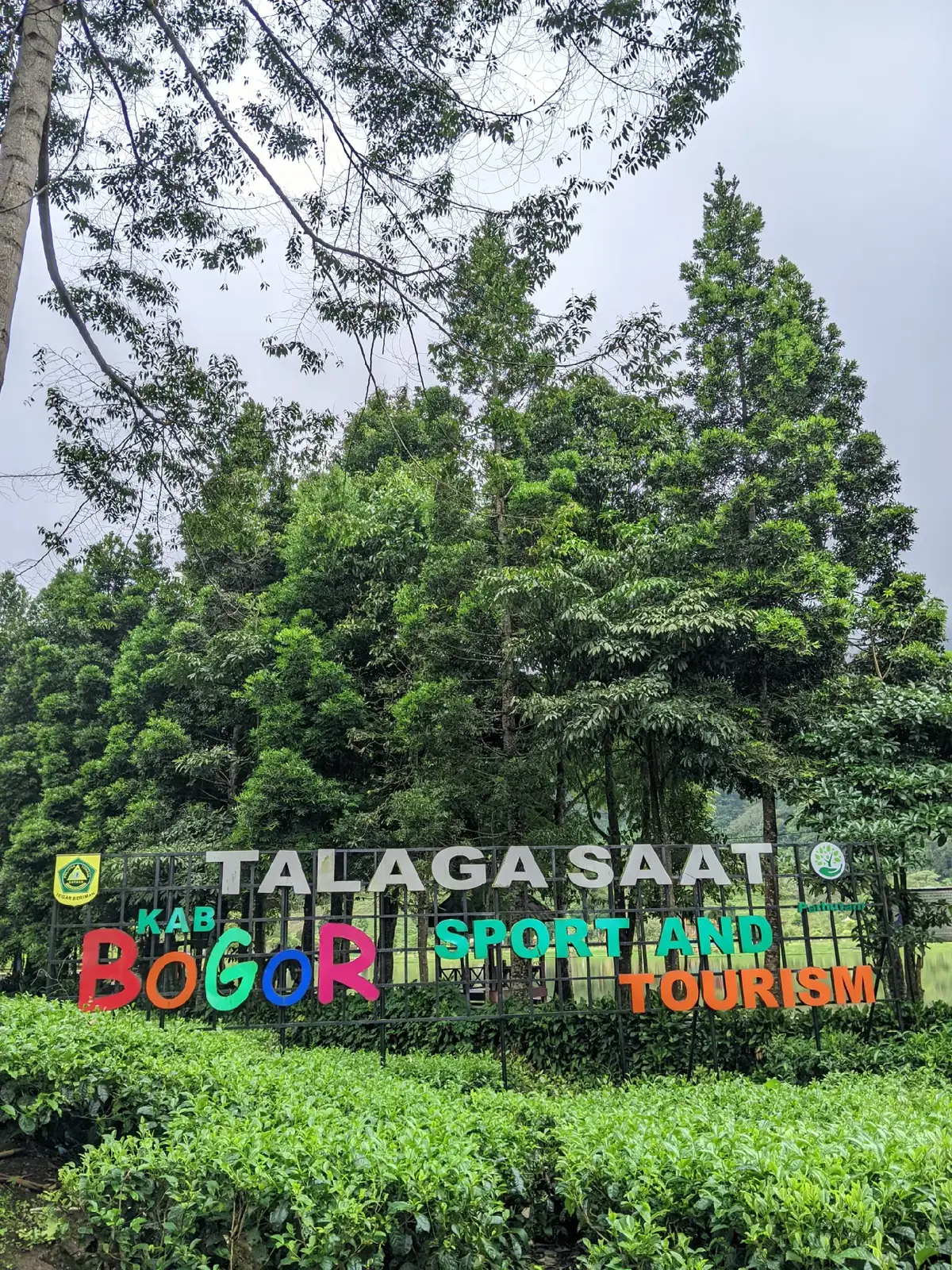 puncak lagiiii♥️ #fyp #tegalasaatpuncak 