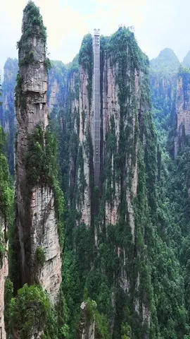 [Zhangjiajie] The elevator built on the cliff is not scary, not scary at all 