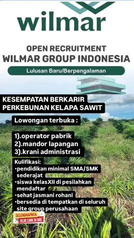 Untuk pendaftarannya silahkan kunjungi bio di profil TikTok #daftar #indonesia🇮🇩 #untuknegerikita #lokerindonesia #2025 #sawit #sawitontiktok 