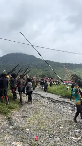 Persiapan bakar batu  #papuatengah #papuapegunungan🏔 #papuapride #papua 