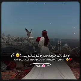 نیمگڑی ارمانونہ 🥺🖤 #fyp #foryoupage #foryou #fypage #lines #1millionaudition #viralvideo #unfrezzmyaccount #poetry 