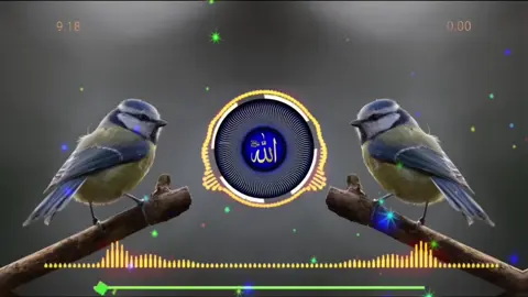 #pashtonaat #pashtonazam #naat #nazam #pashtosong #songs #fullnazam #fullnaat #pashtonewsong #نعت #pashto #pashtoon #song #viralsong #fullsong #pashtonewsong #foryoustudio 