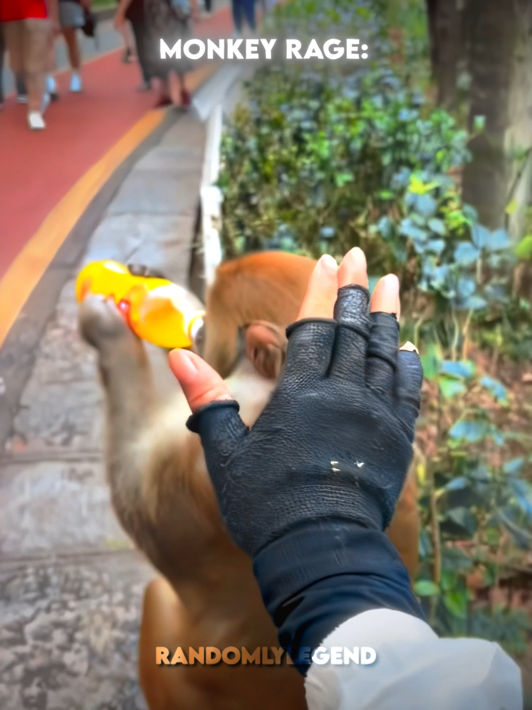 monkey ragings rage (SONG: MONTAGEM PARA) dropping tommorow #ragebaby #prank #monkey #iq #smart #rage #ragebait #angry #anger #iq #regret #funny #funnyy #minigame #video #strength #trend #aura #viral #fyp #amazing #LifeHack #smart #intelligent #disaster #momentbeforeiq