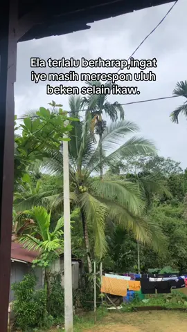 Are uluh korban ah je kuang ku tuh👆#masukberanda #viralfyp #kapuashulu #kalteng #viraltiktok #katakatadayak 