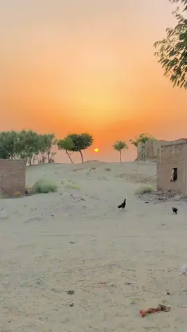 #vaadi #foryoupage #plzunfrezemyaccount #plzsupport #foryou #plzviral🥺🥺🙏🙏foryoupage #plz #songlyrics #plzdontunderviewsmyvedi 
