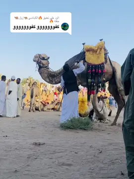الرد على @🔥الكباشي 🐪زول 🐫جقله 🔥 