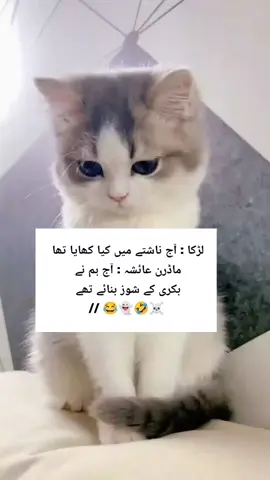 part198 #unfrezzmyaccount #fouryoupage #videovirel #unfrezzmyaccount #fouryoupage #unfrezzmyaccount #videovirel #unfrezzmyaccount #fouryoupage 