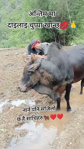 भाइरल दाजु भाइको भिदियो हेरिदिनुहोला🙏#plz#suporting_me_guys🙏 #foryou #foryoupage #goviral #tiktoknepal🇳🇵 #synjgalimuser❤ #biruwa❤️🙏🙏 
