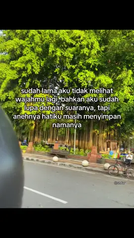 entah kenapa nama kamu masih ada didalam hatiku #fyp #foryou #katakata #mantanterindah #gamon #galaubrutal #sadstory #storywa #sadvibes #kamuharustau #story #foryoupage #fyp #4u #xyzbca #kamu #fyviral #fyppppppppppppppppppppppp 
