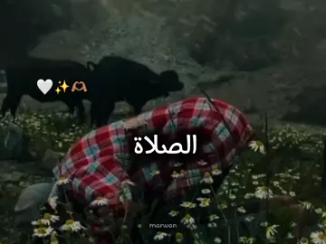 salada ilaali 🤍#fouryou #copylink #fouryourpage #viewsproblem😭 #somalitiktok #viral_video 