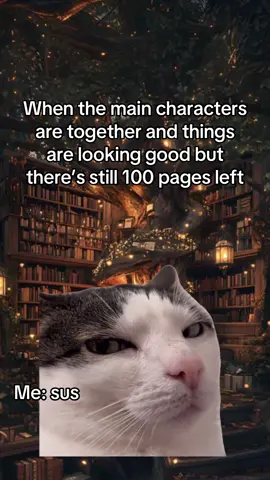 #MemeCut #Meme #sus #booktokmeme #bookmeme #bookobsessed #unhinged #darkromance #enemiestolovers #fantasybooktok 