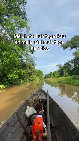 Pasti hare uluh melai atei muh😄#katakatadayak #dayakviral #storidayak #storiwa #masukberanda #fyp #kalimantan #kalsel #kalteng #palangkaraya #pulangpisau #fypage #xcyzba #fypシ゚viral 