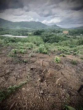 “美丽的风景会随着时间而消逝。只有人类的情感每分每秒都在变化。” 