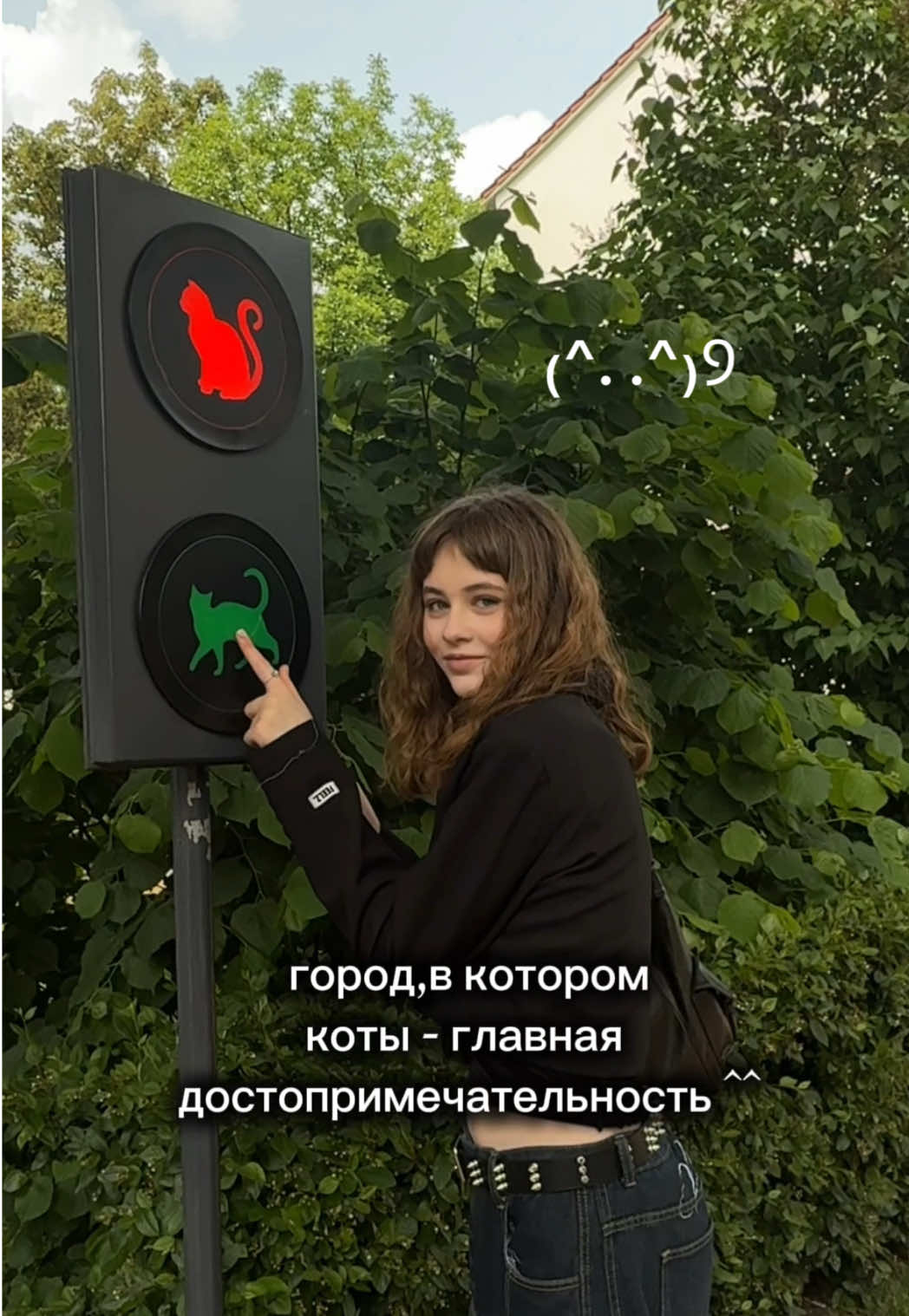 они повсюду,и очень ласковые ૮₍˃̵֊ ˂̵ ₎ა много памятников,граффити и отсылок к котам!! даже загс😭 #зеленоградск #городкотов #cats #mew 