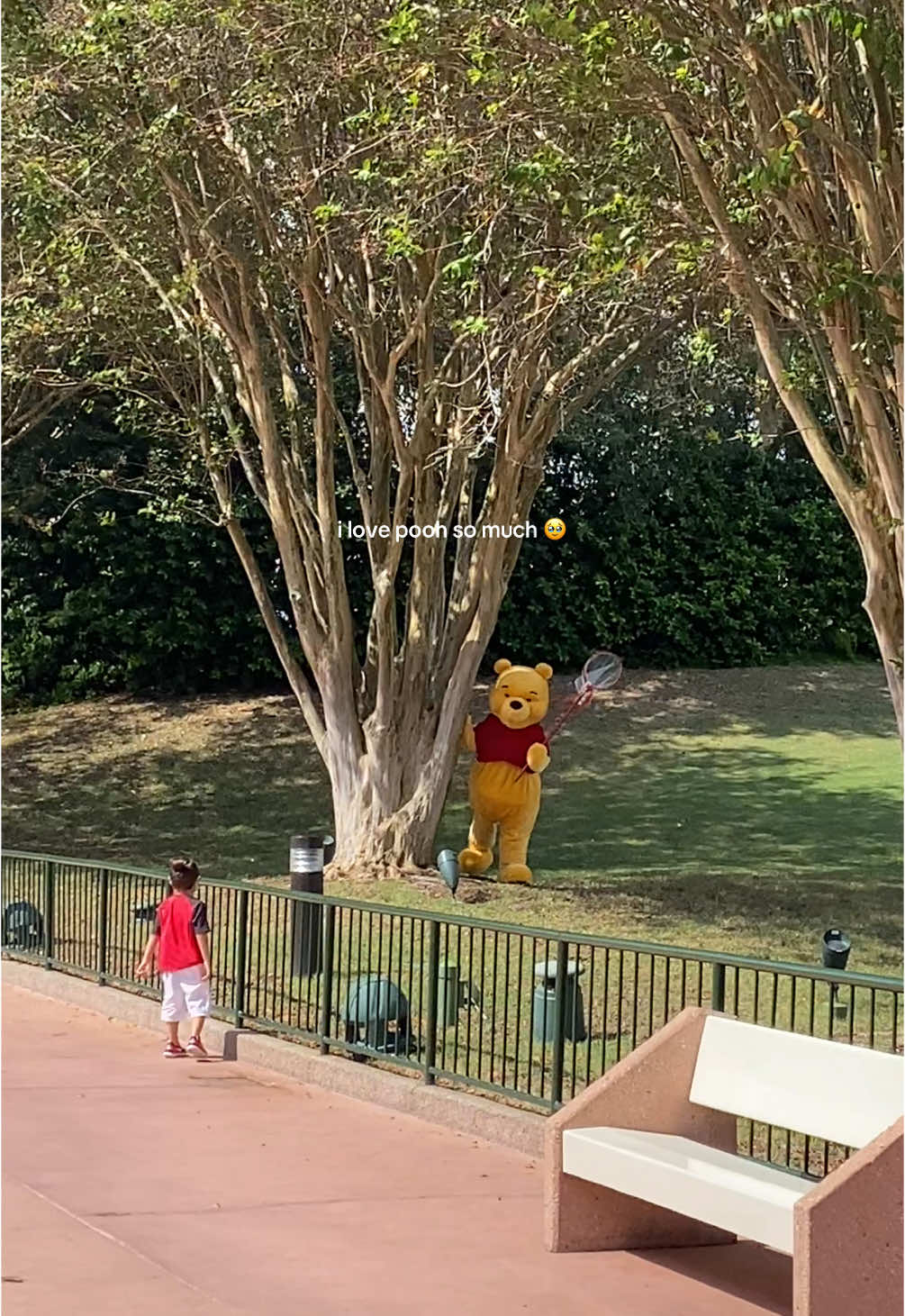 could watch him catch butterflies in the field all day long truly 🍯🦋 #fyp #disney #disneyworld #disneyparks #winniethepooh #pooh #epcot #cute #poohbear #foryoupage 