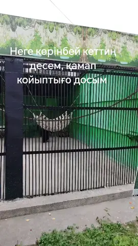 #рек#жоқ болып кететин достарыңды белгілеп кетіңдер. 