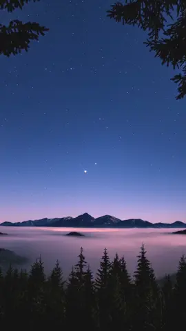 Track: Pacification - calm relaxing and piano music for videos, meditation, vlogs, commercial projects etc. Buy MP3 and Merch in my Store (Link in bio). #pacification #piano #relaxing  #calm #ashamaluevmusic #pianomusic 