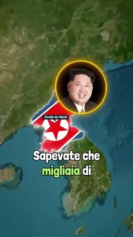 Rapporto nord corea iran… #iran #nordcorea🇰🇵 #coreadelnord #guerra #missili #curiositàintesta #viral_video #videoviral #tiktokitaly 
