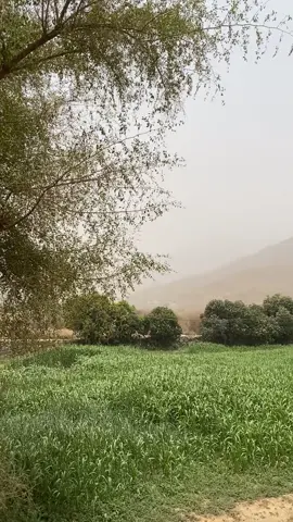 طاحت دموعي غصب ماهو بودي ..