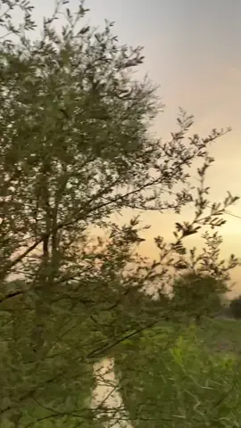 _کسی کو چاہنا  اپنا  بنا لینا  کمال  تھوڑی ہے  