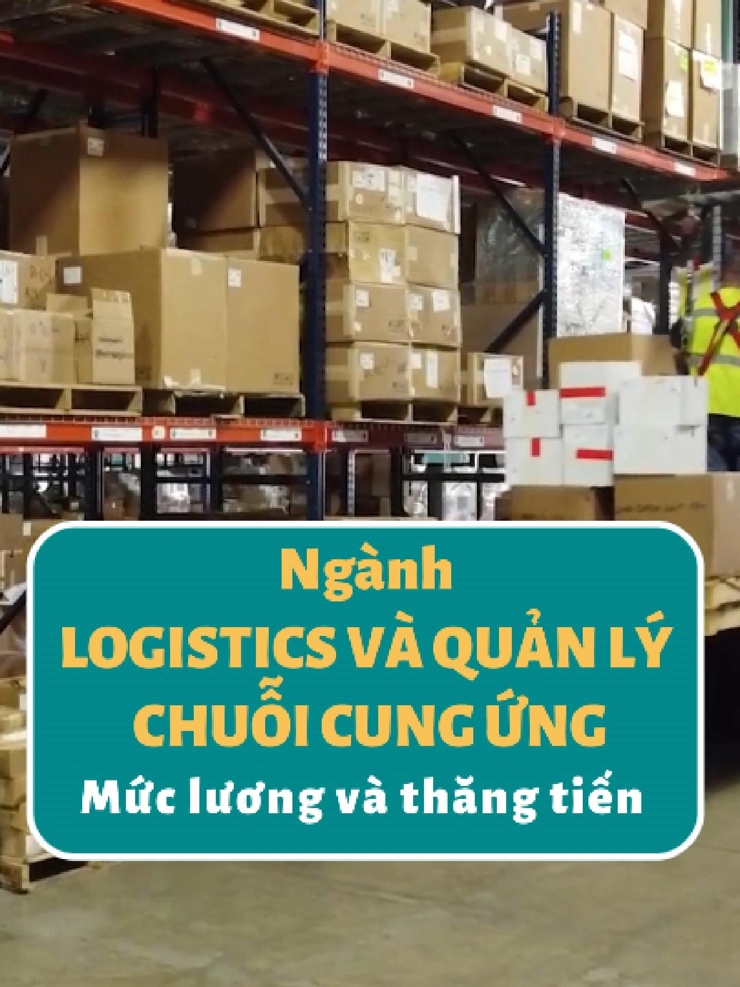 Mức lương, cơ hội thăng tiến trong ngành Logistics và Quản lý chuỗi cung ứng #tuyểnsinhhệvừahọcvừalàm #Liênthông #VănBằng2 #tuyensinhvualamvuahoc #UTH #nganhlogicsticvaquanlychuoicungung