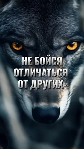#настроения💖💯💯💯 #жизненныецитаты #цитатысосмыслом #любовьксебе #сильныеслова #сарказм😏 