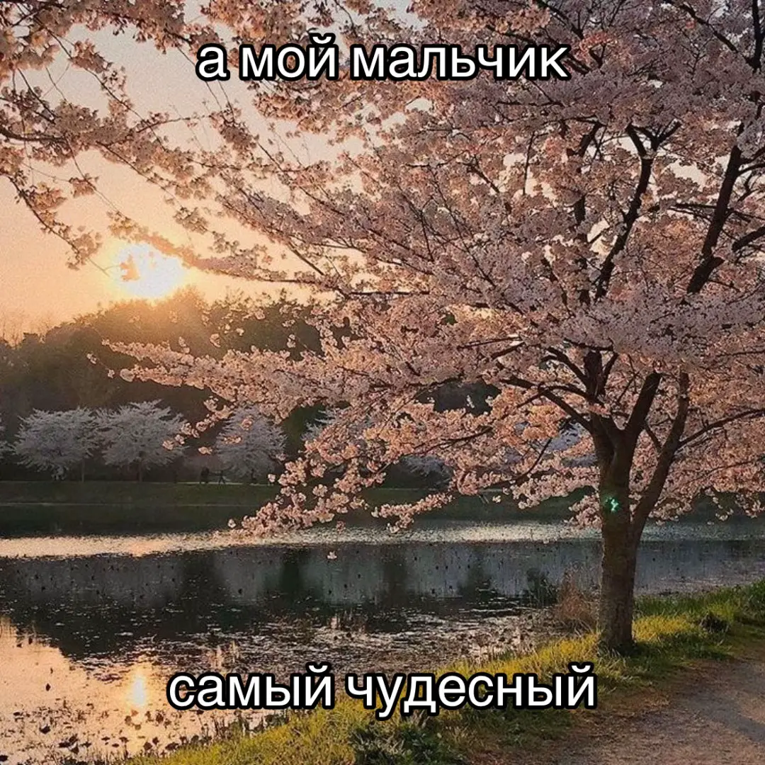 люблю его очень #щп #любовь #щитпост