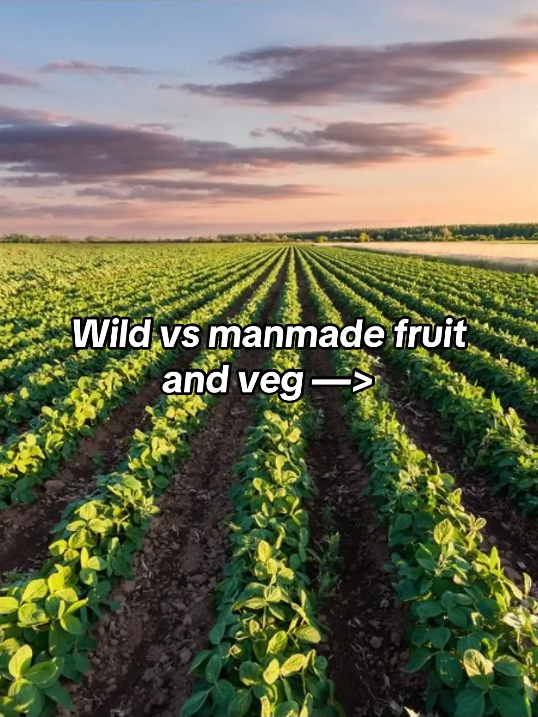 #aajonusvonderplanitz #primal #primaldiet #nature #fyp 