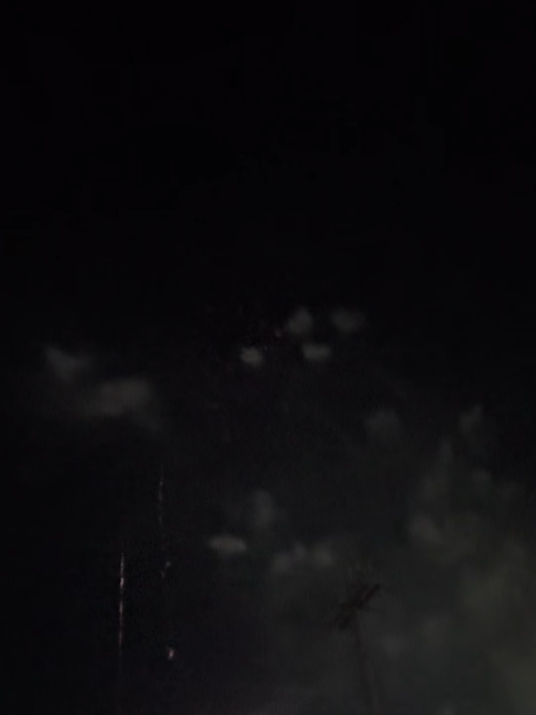 Fireworks were part of Jackson's Juneteenth celebration. Enjoy about 30 seconds of fireworks.
