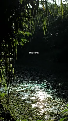 ඉතින් මම ඉන්නවා ❤️‍🩹 #cover #sanuka #ithinmamainnawa #fyp #foryou #foryoupage #fypシ #sinhalasong 