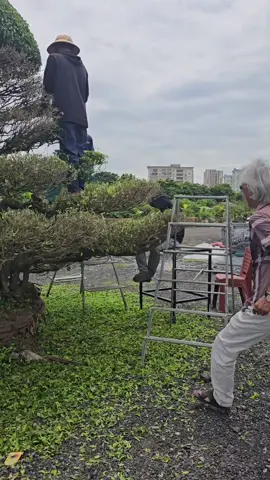 may mà ko có chuyện gì sẩy ra.