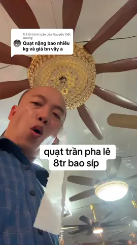 Trả lời @Nguyễn Viết Quang k xứng đáng trả về #vuaquat #tietkiem 