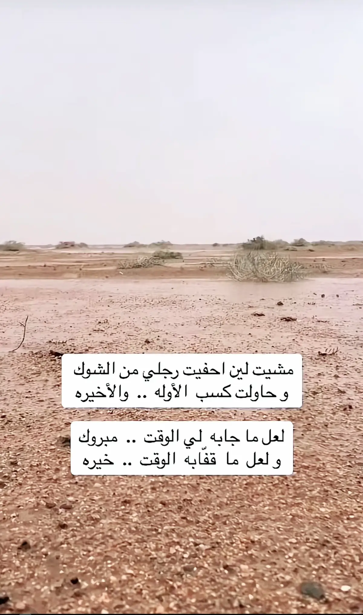 #اكسبلورexplore 