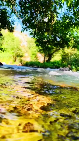 Çima tu ji min dûr ketî? Bêje ronîya çavê min..🥀 #şemdinli #dağlar #keşfet #keşfetedüş #kesfet #keşfetteyiz #hakkarimanzaralari #naturephotography #drone #nails #manzara #manzararesimleri #manzarafotoğrafları #fotografia #video #reels #reelsinstagram #instagram #instagramreels #tiktok #facebook #dengbej #dengbejşakiro #dengbejikurdi @TikTok Türkiye @CapCut @murat @Gamze🕊️ @xw.isaa77 