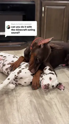 Replying to @Carla Yes here you go!!😆💙🐾#Minecraft #mincrafteatintnoise #liverdalmatian#reddobermann#dalmatian#dobermann#dalmatianoftiktok #dobermannoftiktok#cobbing