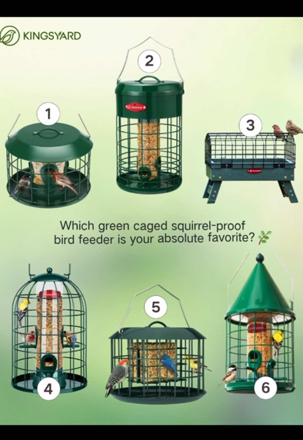 Which green caged squirrel-proof bird feeder is your absolute favorite?🤩  #birdfeeder #squirrelproofbirdfeeder #backyardbirds #Birdwatching #kingsyard #kingsyardfeeder #nature #fyp 