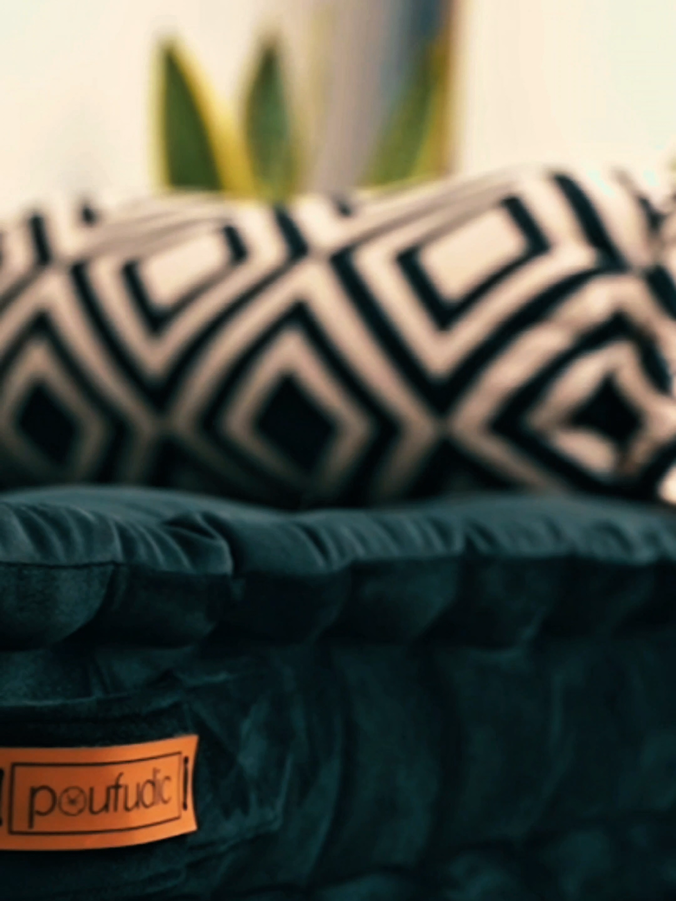 Our colors were always varied... Just take a look 🫣🪅 #Poufudic #lofihiphop #cozyhome #homedesign #fyp #cozy #cozyvibes #lofiedits #sectionalsofa