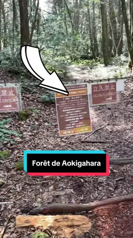 Je sais pas pourquoi ils l’ont encore laissé ouverte #horreur #peur #aokigahara 
