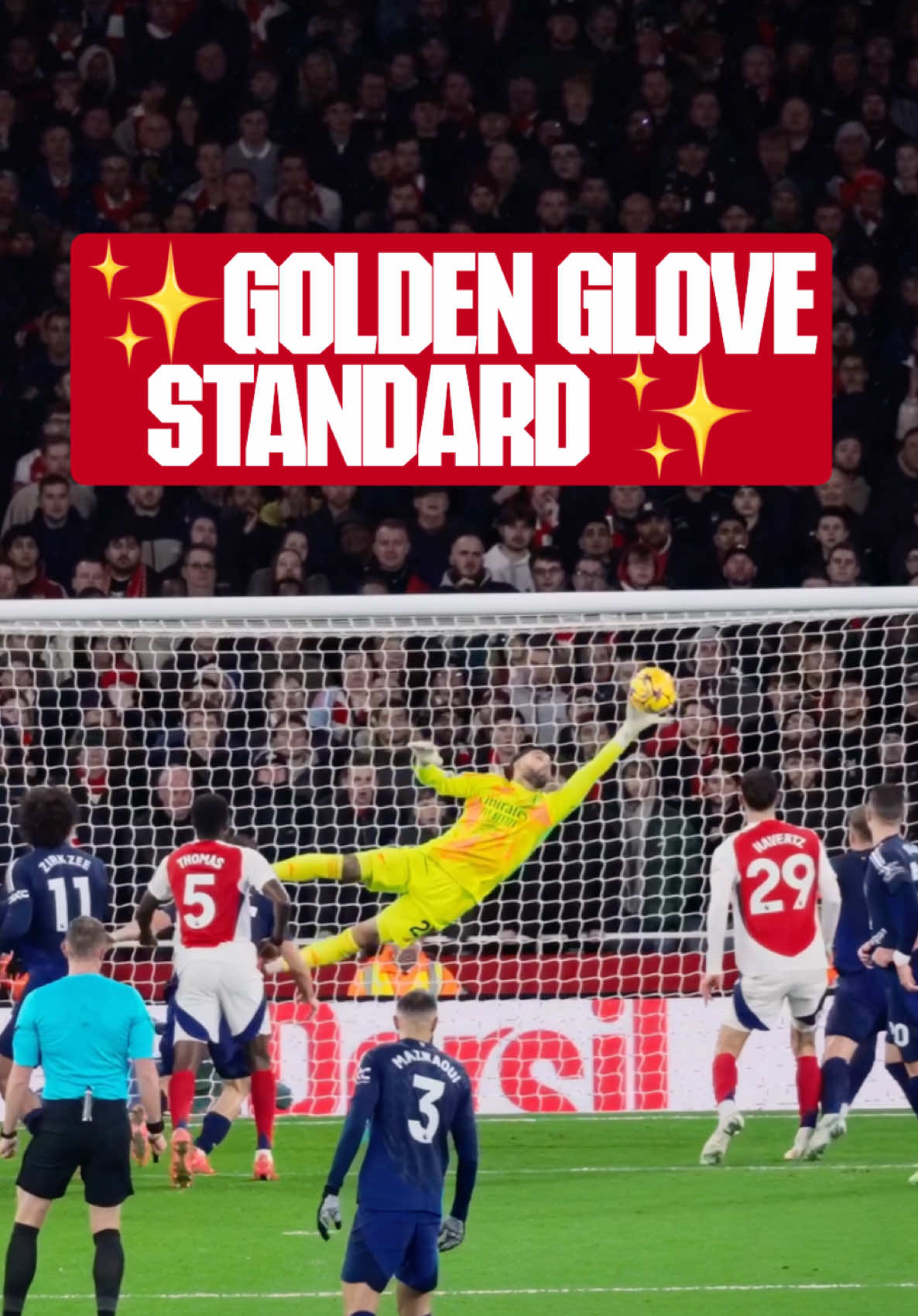 ✨ Golden Glove standard ✨ #afc #arsenal #raya 