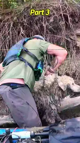 #I found a DOG STUCK under a log!! #recusedog #dogsoftiktok #doglife #viral 
