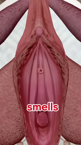 Take your health seriously, Women. How to manage your private parts. #healthybhicoolbhi #usatoday #wellness 