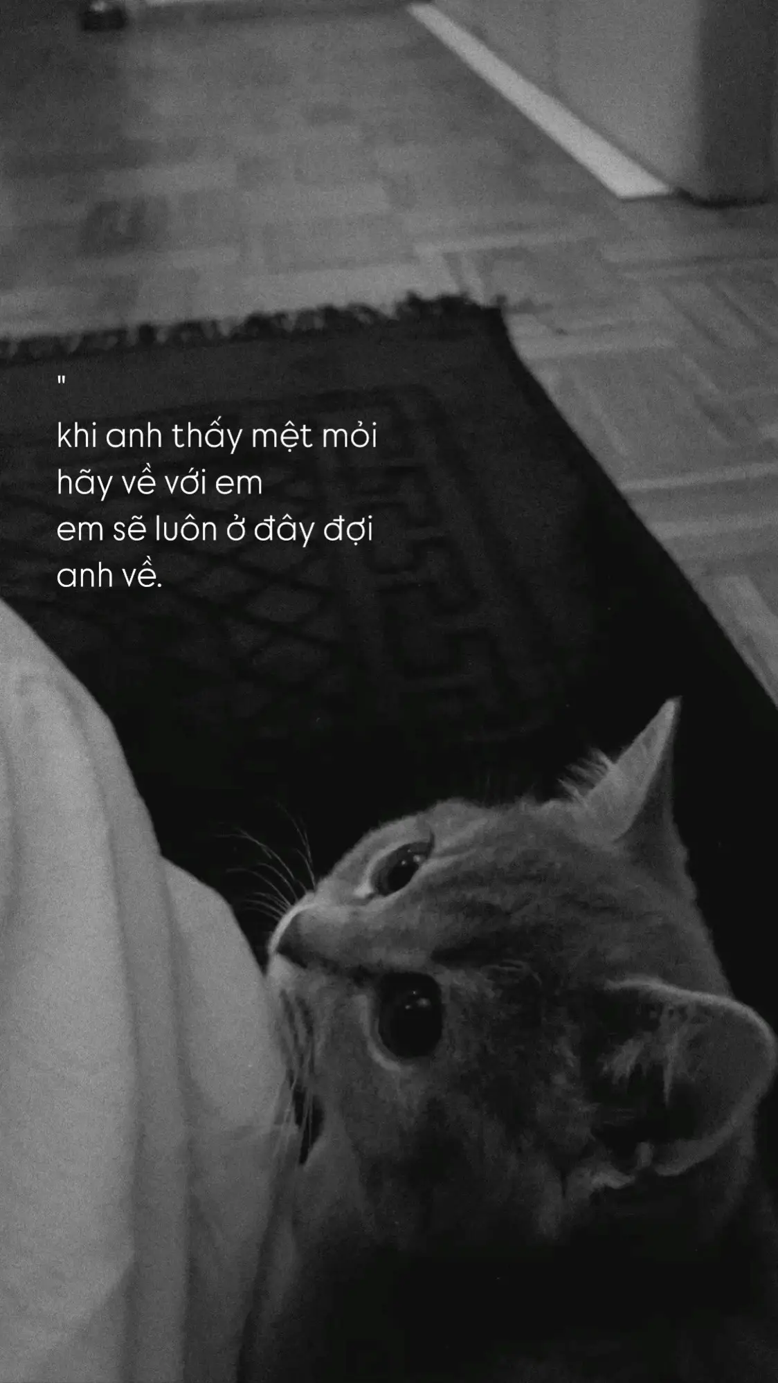#viral 
