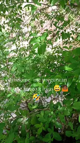 gente metiche 🤣
