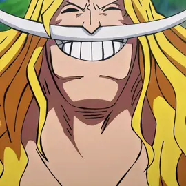 #whitebeard #kaido #doflamingo #anime #edit 