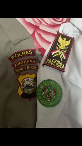 #fyp #fypdongggggggg #au #polwan #paskibra #abdinegara #berandafyp #sepolwan #AD 