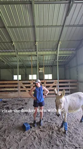 #farmlife #homestead #howtogoviral #donkeys #minidonkeys 